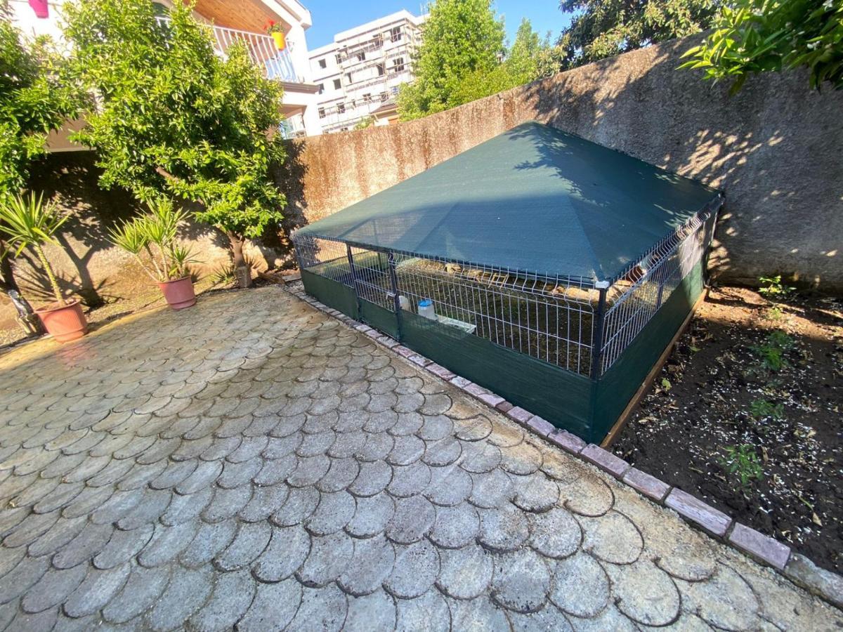 Gather Inn Guest House Shkodra Exterior foto